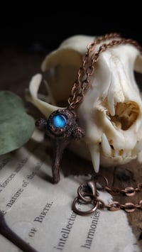 Image 4 of Labradorite and Vertebra Bone Pendant