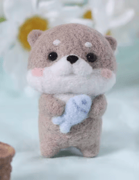 DIY Felting Kit