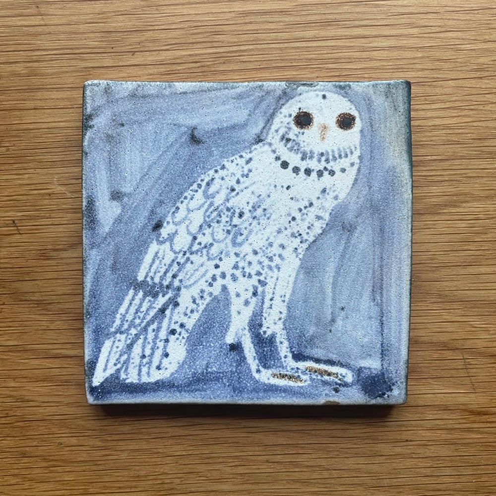 Pale owl medium