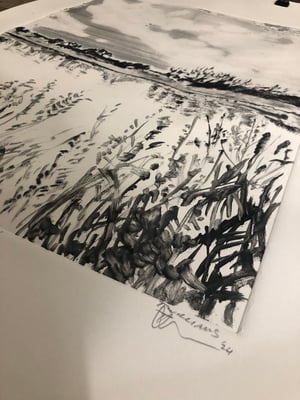 Image of ‘East Sussex Countryside’ monotype