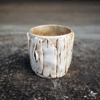 Image 5 of Young oak cups