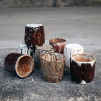 Image 4 of Young oak cups