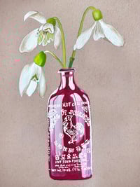 Sriracha and Snowdrop