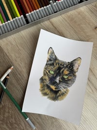 Image 4 of Custom Pet Portraits