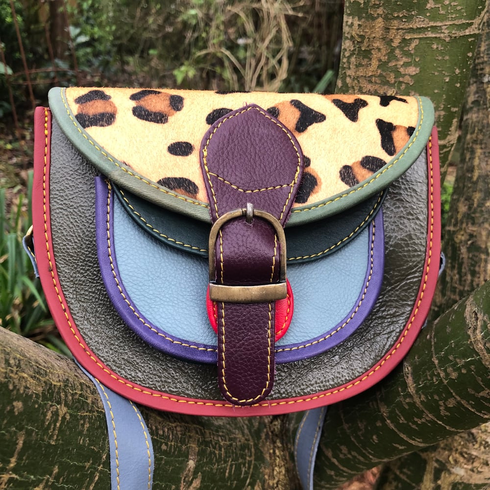 Image of Harlequin Collection - Multicoloured Baby Saddle #36B