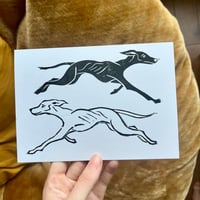 Greyhound print