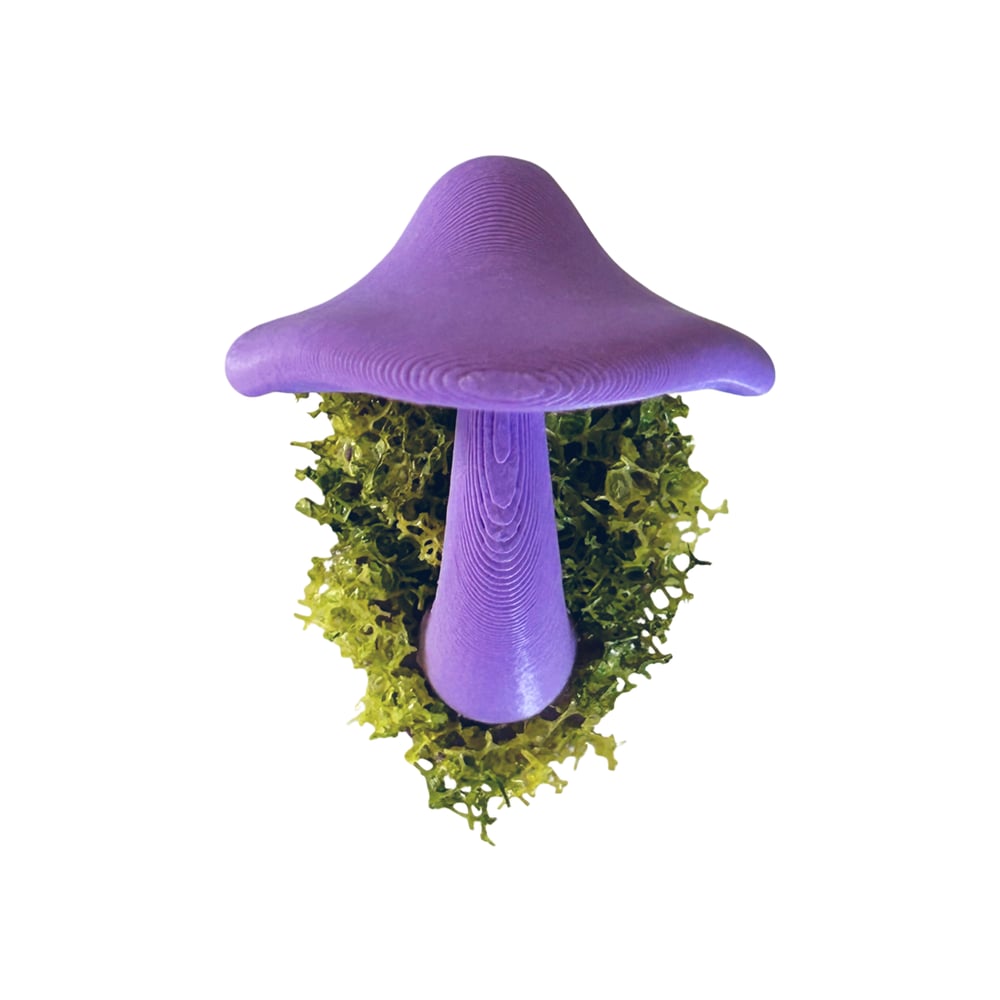 FHOS - Moss Mushies