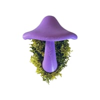 Image 2 of FHOS - Moss Mushies