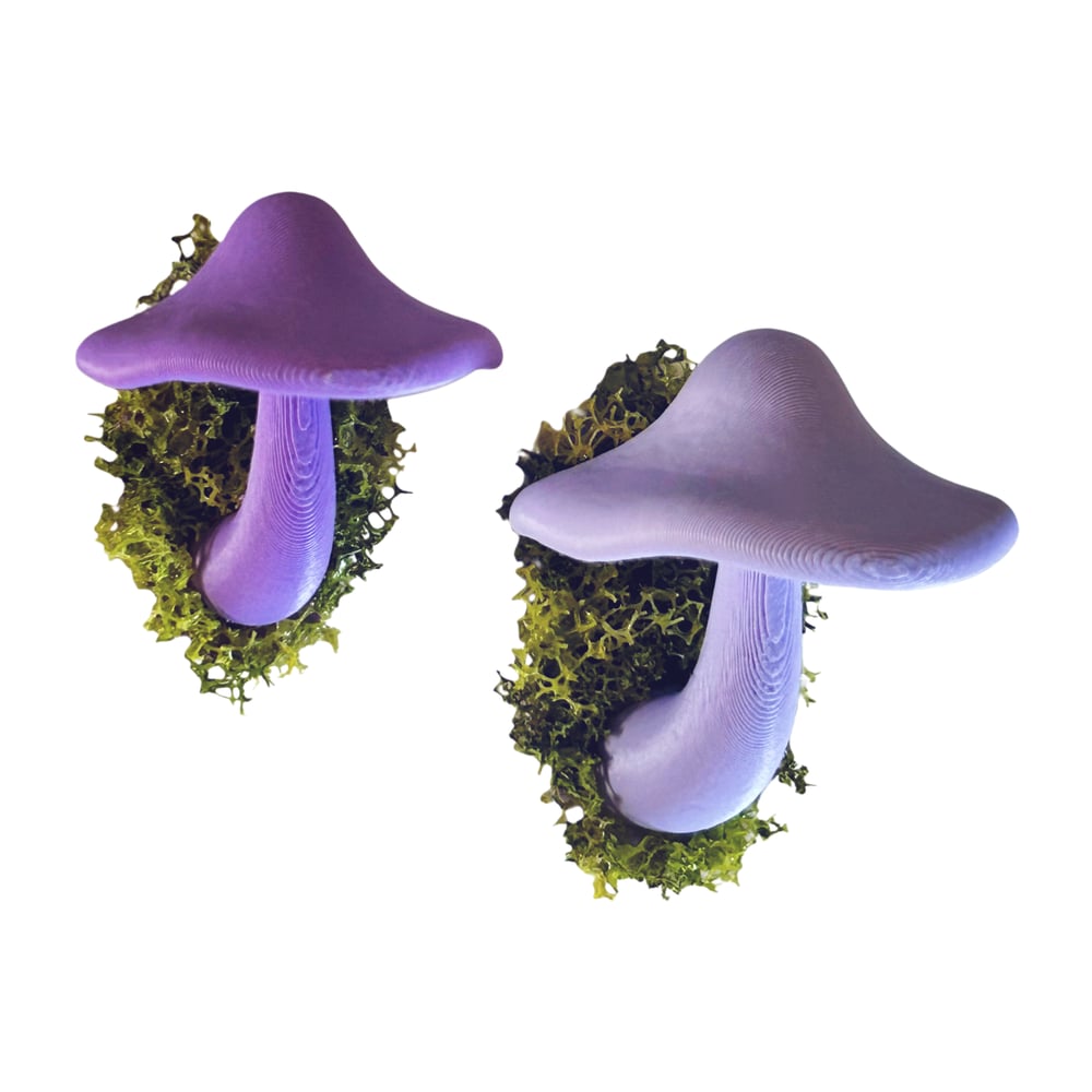 FHOS - Moss Mushies