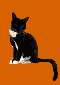 Image 2 of Digital pet portraits (full body)