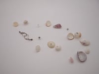 Image 9 of Seashell Long Necklace