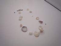 Image 11 of Seashell Long Necklace