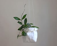 Image 1 of Hanging planter made from washable paper