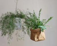 Image 2 of Hanging planter made from washable paper