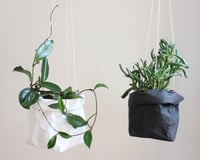 Image 4 of Hanging planter made from washable paper