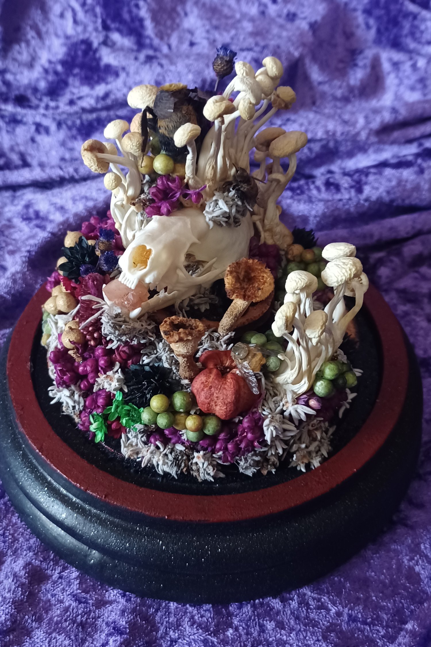 Image of Skull bubble.dome.w/mushrooms