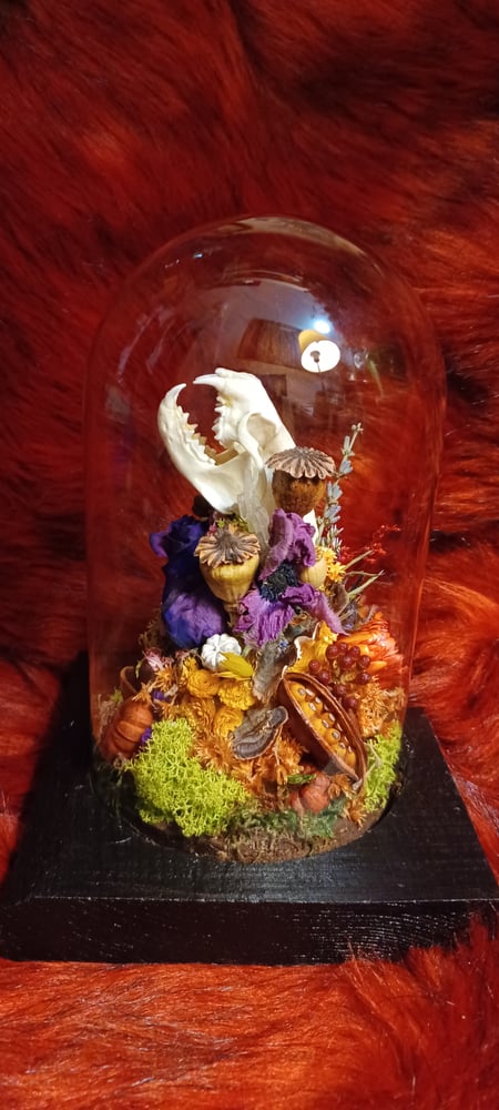 Image of Animal.skull.dome.art