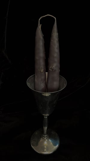 Image of ℭ𝔞𝔭𝔯𝔦𝔠𝔬𝔯𝔫 ℭ𝔞𝔫𝔡𝔩𝔢𝔰