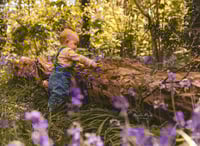 Image 4 of Bluebell Woodland Seasonal Session