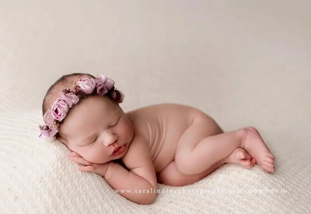 Image of Paige thick knit beanbag backdrop