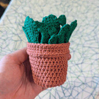 Image 3 of Sous-Verre Monstera