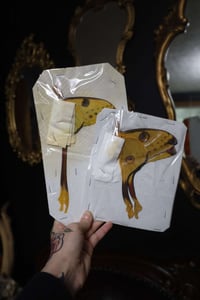 Image 2 of Comet Moth (Unspread/Folded)