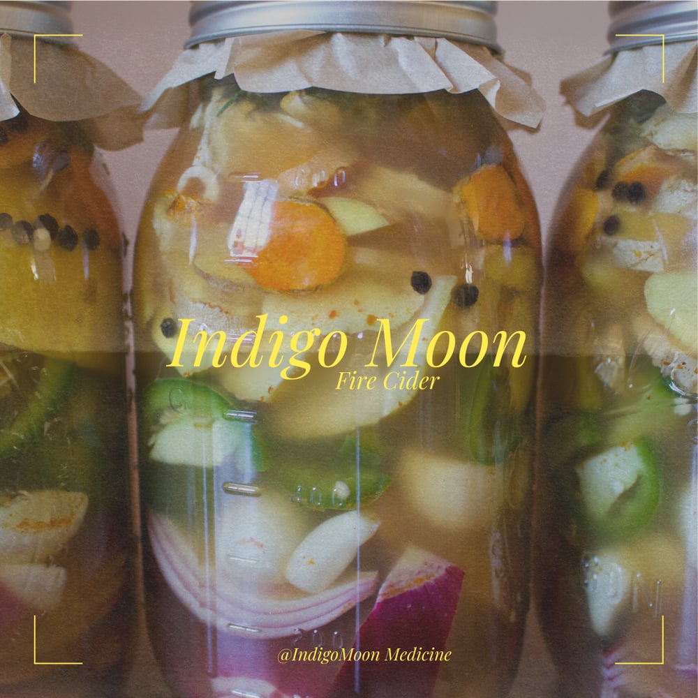 Image of Indigo Moon Fire Cider