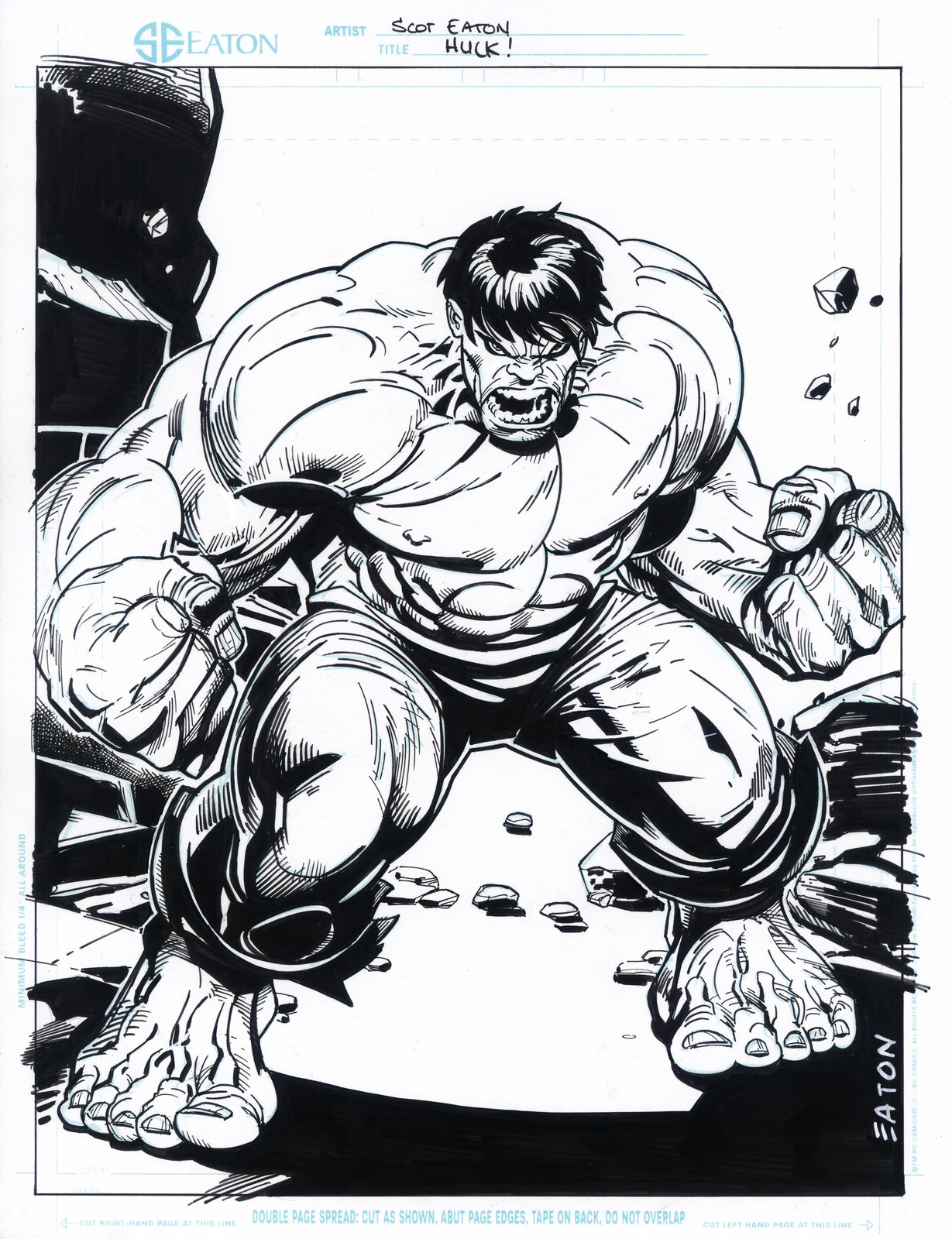 Image of HULK!