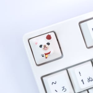 Image of Nunoo