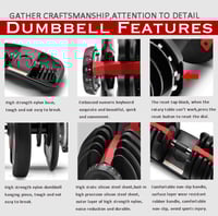 Image 2 of Adjustable Dumbbells + Rack
