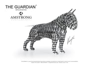 Image 3 of The Guardian® "BIPOLAR" Amstrong Edition
