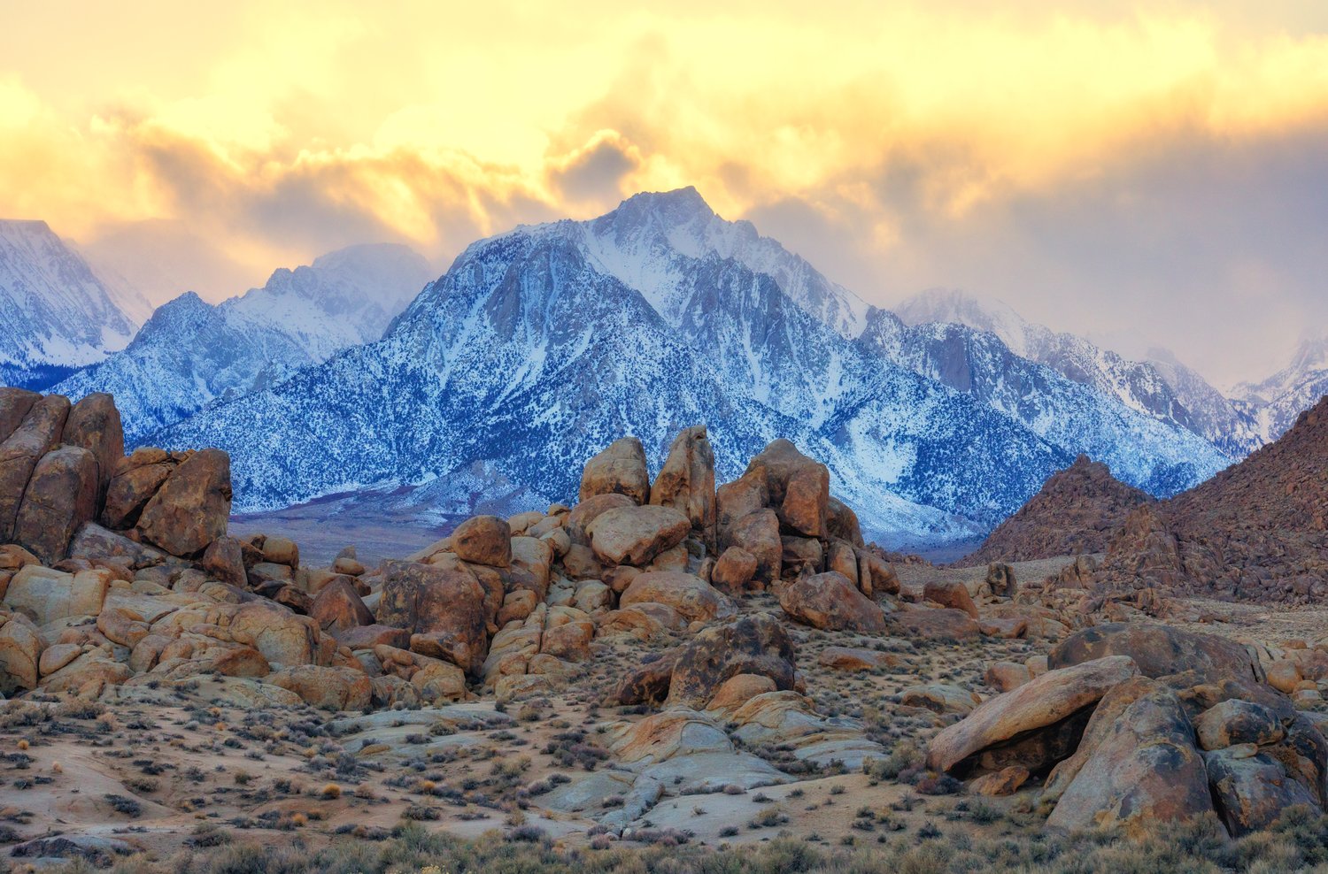 Image of Lone Pine Winter