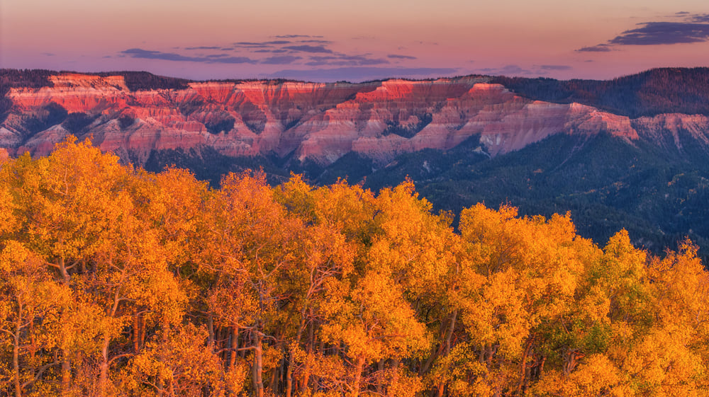 Image of Cedar Breaks Aspen