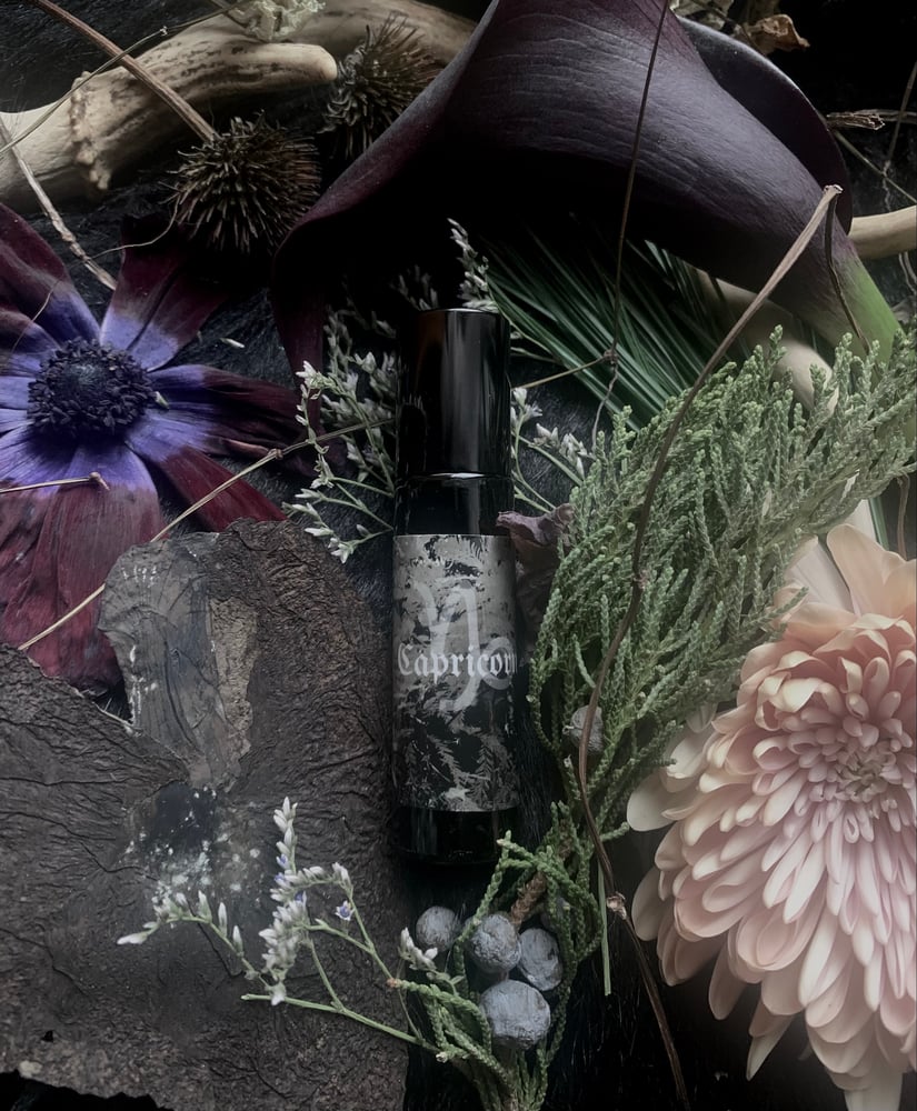 Image of Capricorn Perfume Oil (Hinoki, Labdanum, Leather, Smoke)