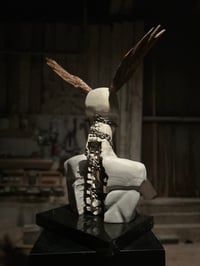 Image 2 of THE RAVENS RELEASE OF THE SOUL