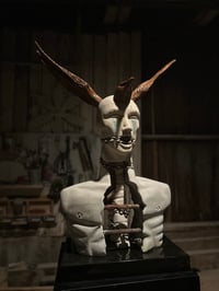 Image 1 of THE RAVENS RELEASE OF THE SOUL