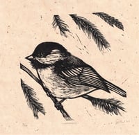 Image 3 of Chickadee (8"x8")
