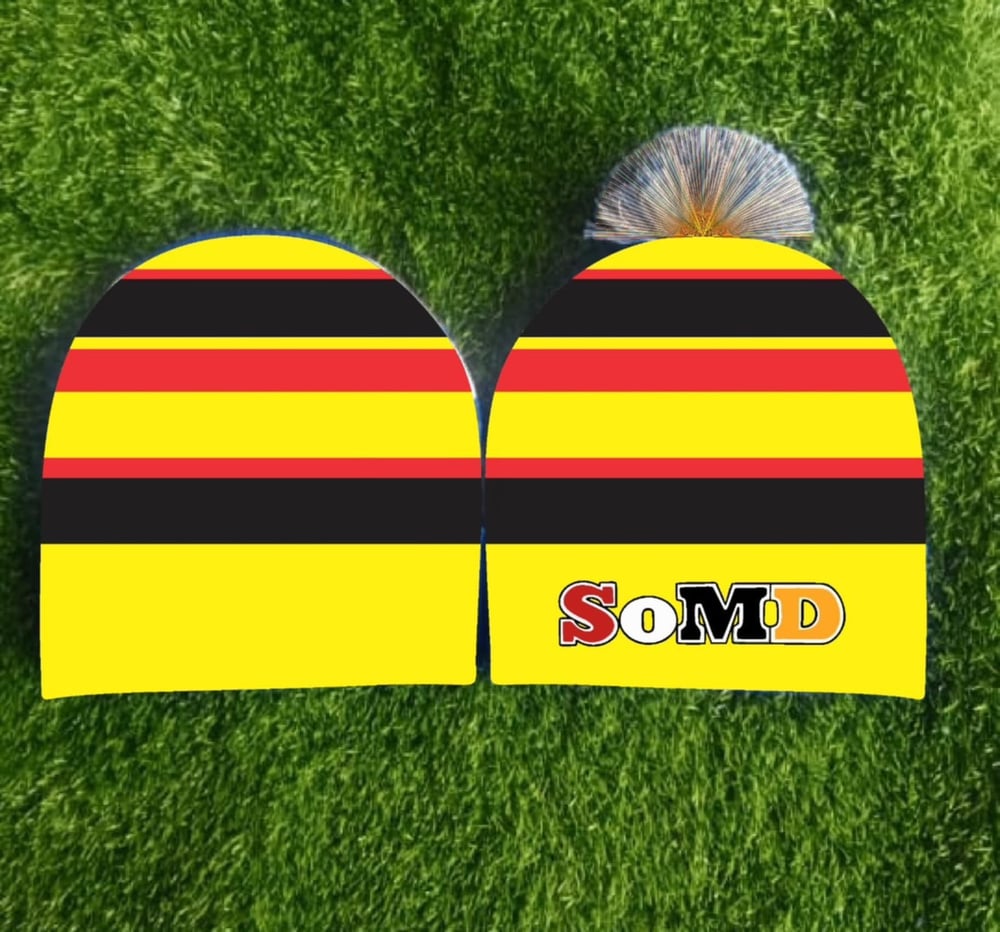 Beanie Preorder 