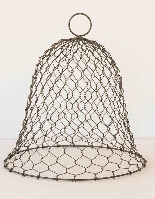 Image of Wire Garden Cloche 