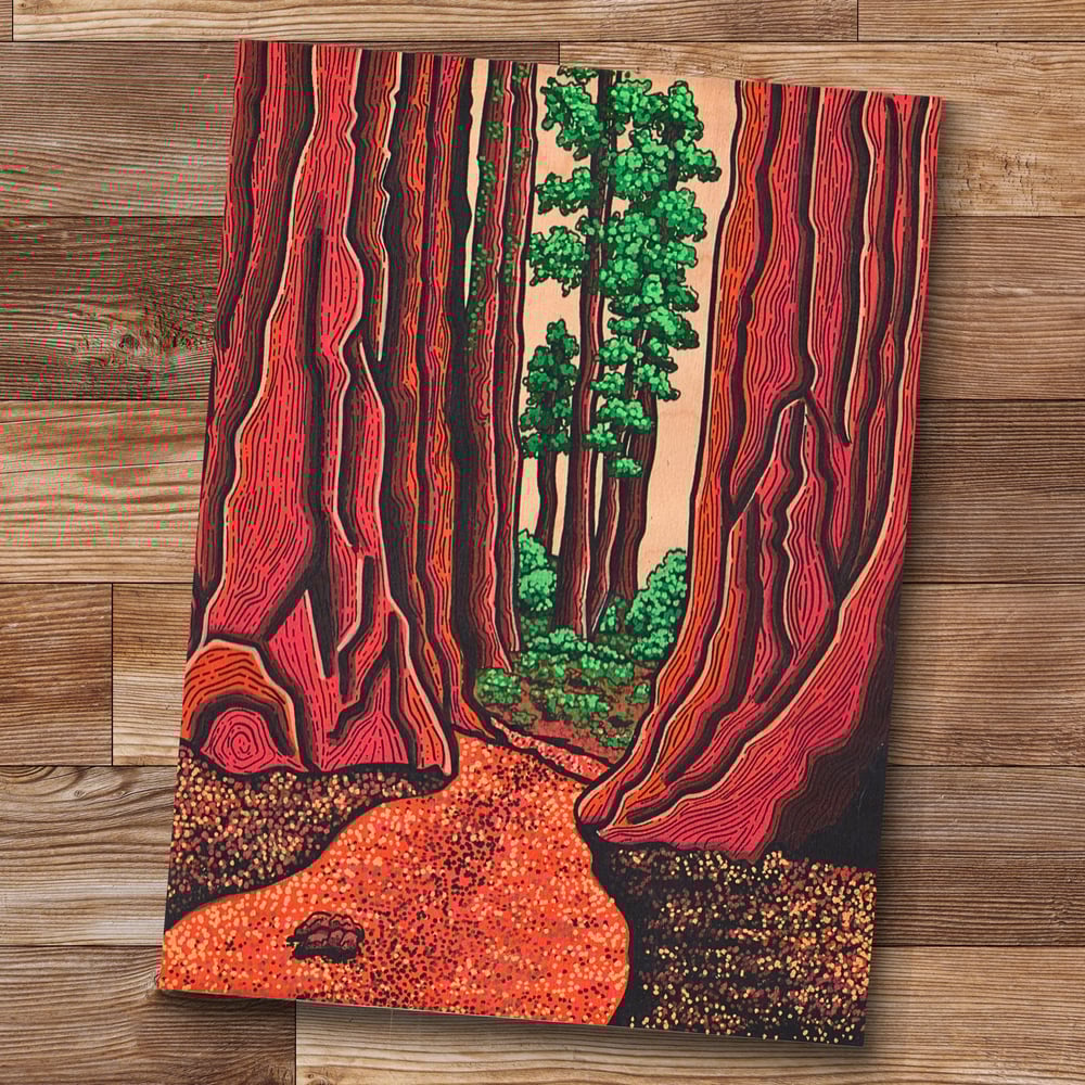 Image of Sequoia Forrest