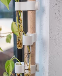Propagation for Modular Plant system