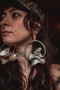 Image 5 of Large bone hoops for stretched ears 