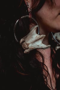 Image 4 of Large bone hoops for stretched ears 