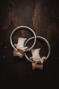 Image 2 of Deer bone hoops for stretched lobes