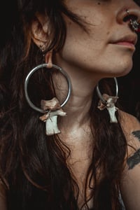 Image 3 of Deer bone hoops for stretched lobes