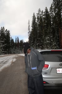 Image 1 of FLAG ZIP UP HOODIE (heather)