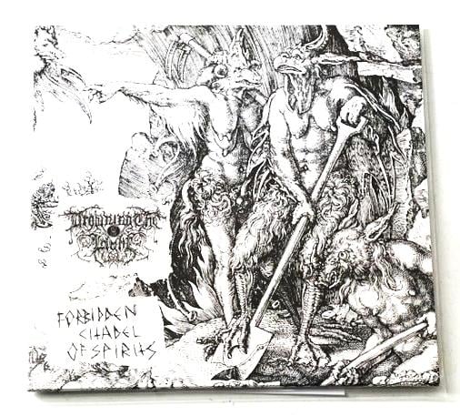 DROWNING THE LIGHT / FORBIDDEN CITADEL OF SPIRITS - SPLIT LP