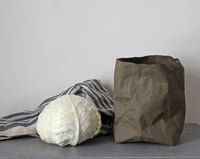 Image 4 of Khaki shade washable paper bags