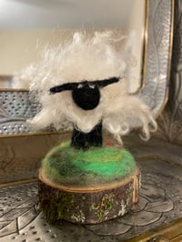 Image 1 of Curly Sheep