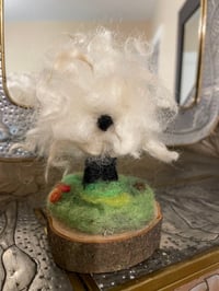 Image 2 of Curly Sheep